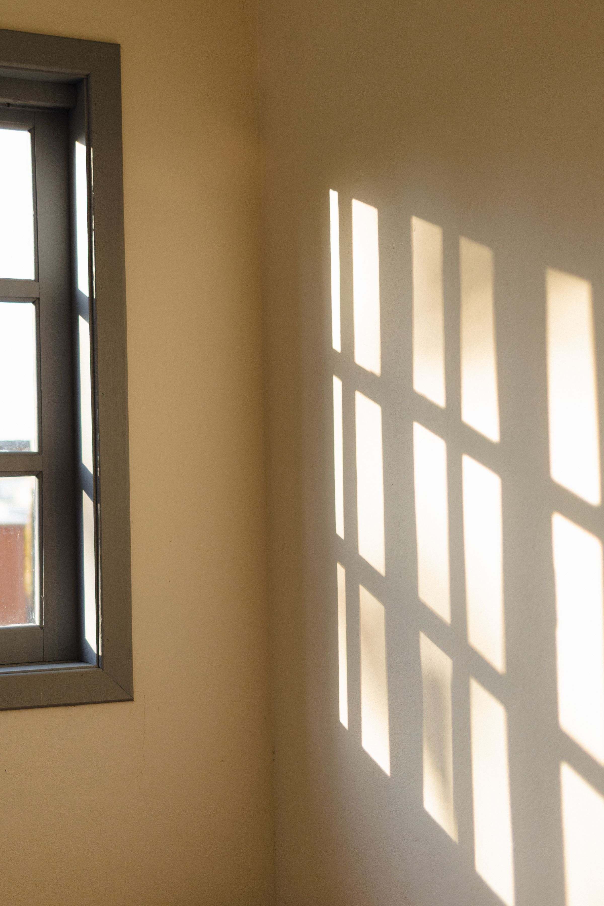 Afternoon sunlight casting window-pane shadows across a clean cream wall